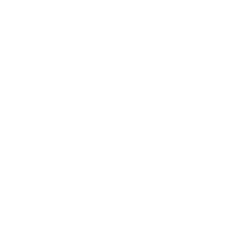 Falcons Academy logo