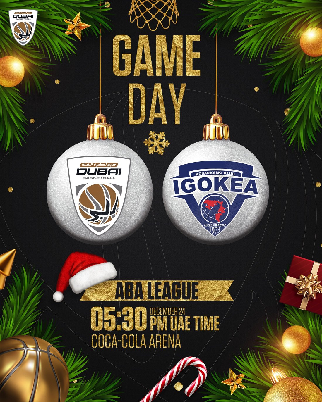 Dubai Basketball · Falcons Academy · NBA design 5